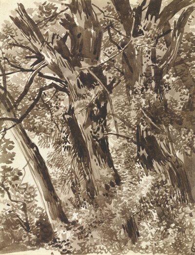 Trunks and Branches by Franz Innocenz Kobell